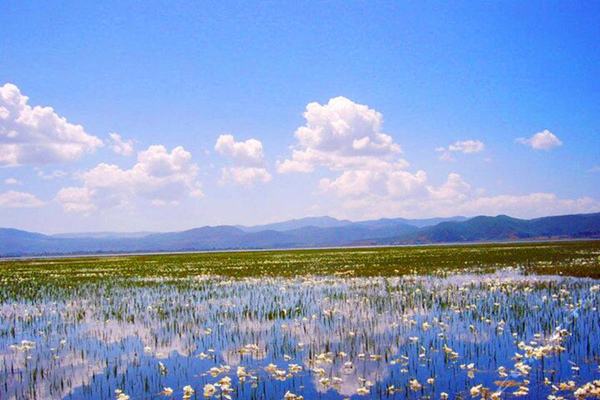 10年来最高温！这个5月云南太热了！有的地方还破了40℃！